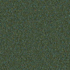 Earthbound - Groundcover - 4146 - 15