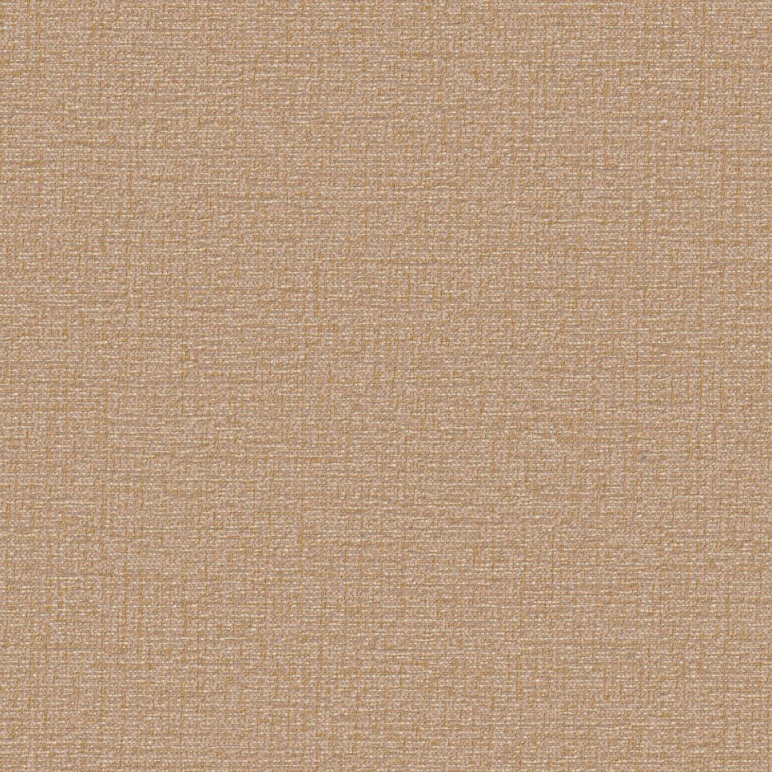 Etch - Cattail - 7023 - 03