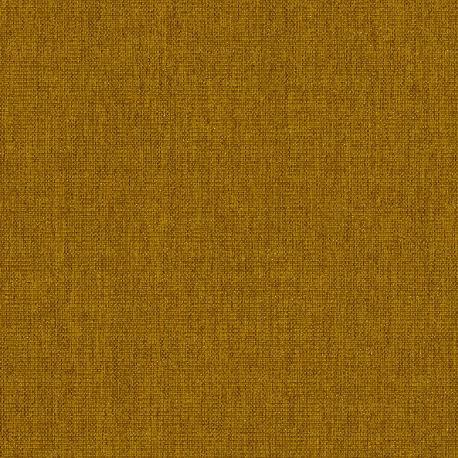 Haze - Ginger - 2013 - 04