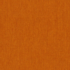 Haze - Ray - 2013 - 07