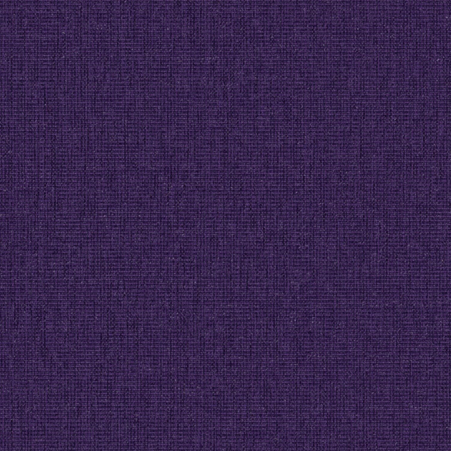 Haze - Violet - 2013 - 10