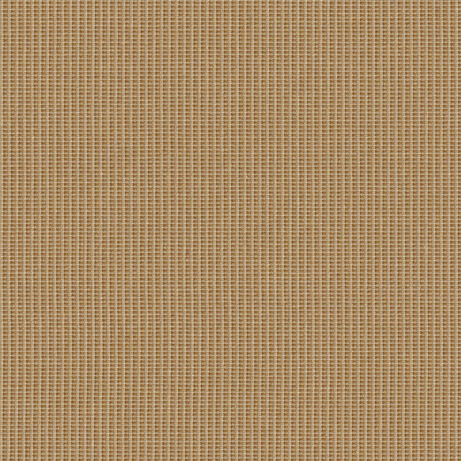 Hive - Sunflower - 4157 - 02