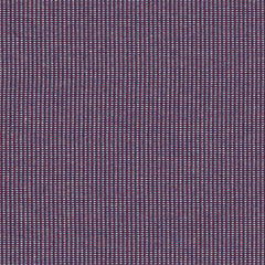 Hive - Iris - 4157 - 07