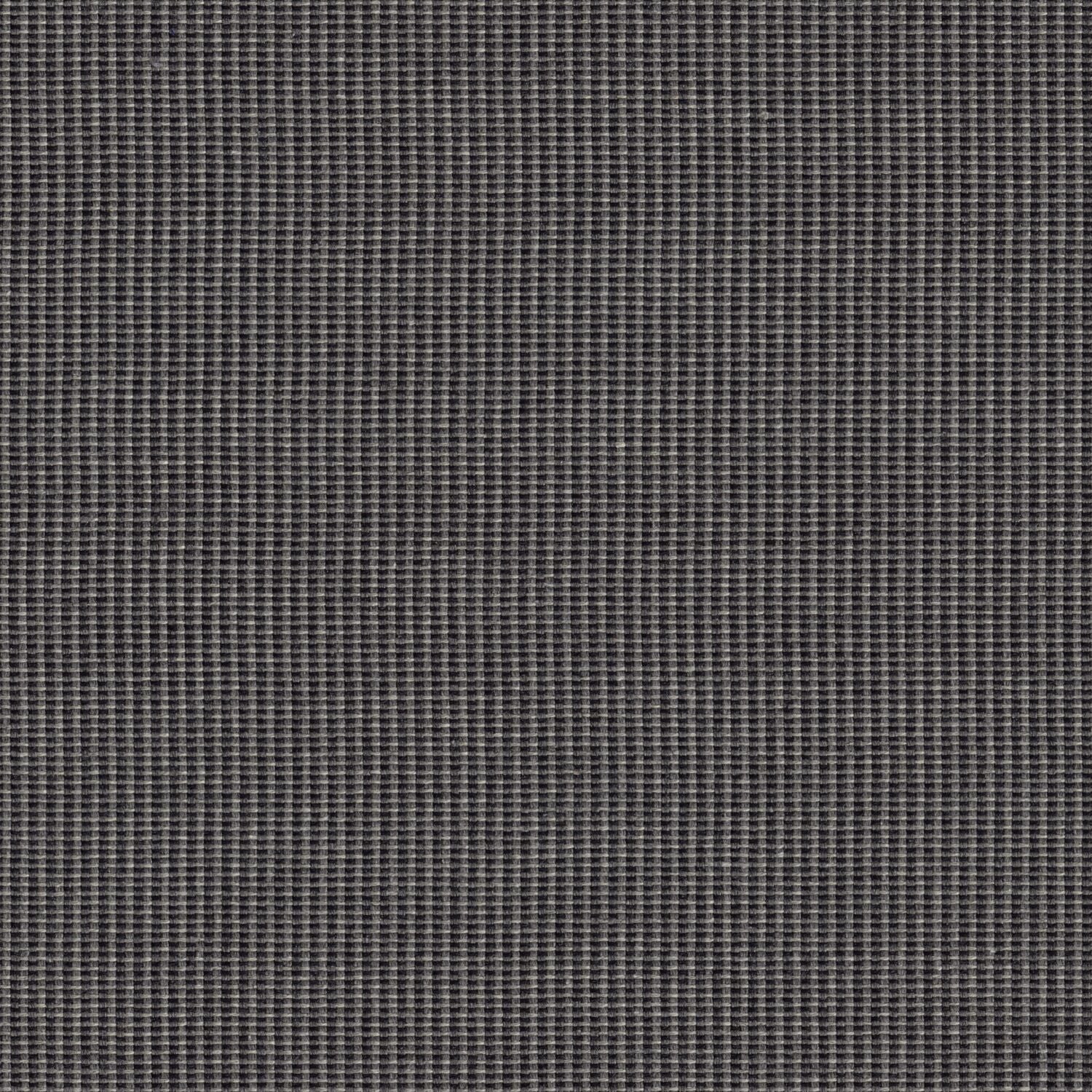 Hive - Graphite - 4157 - 11