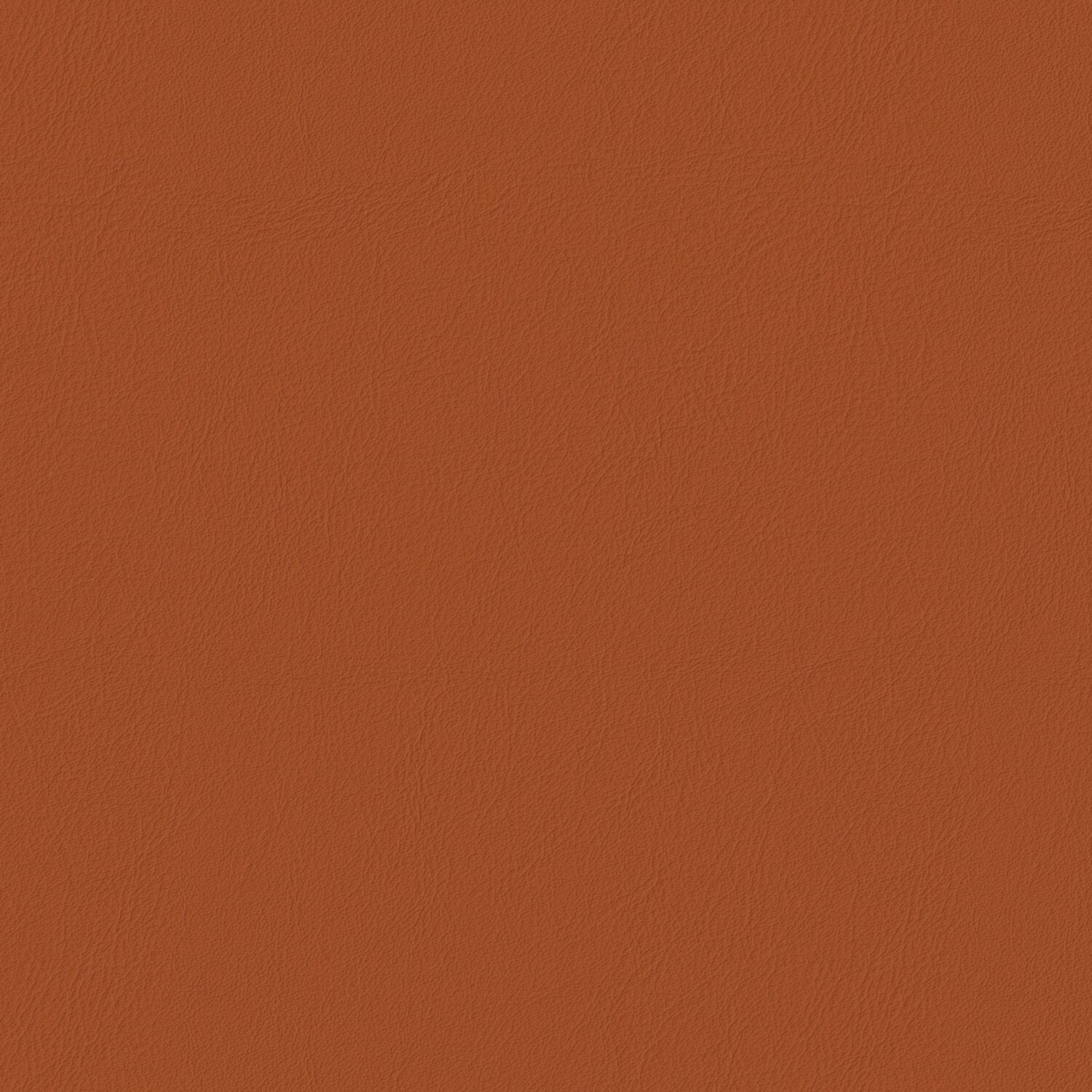 Pela - Chili - 4024 - 24
