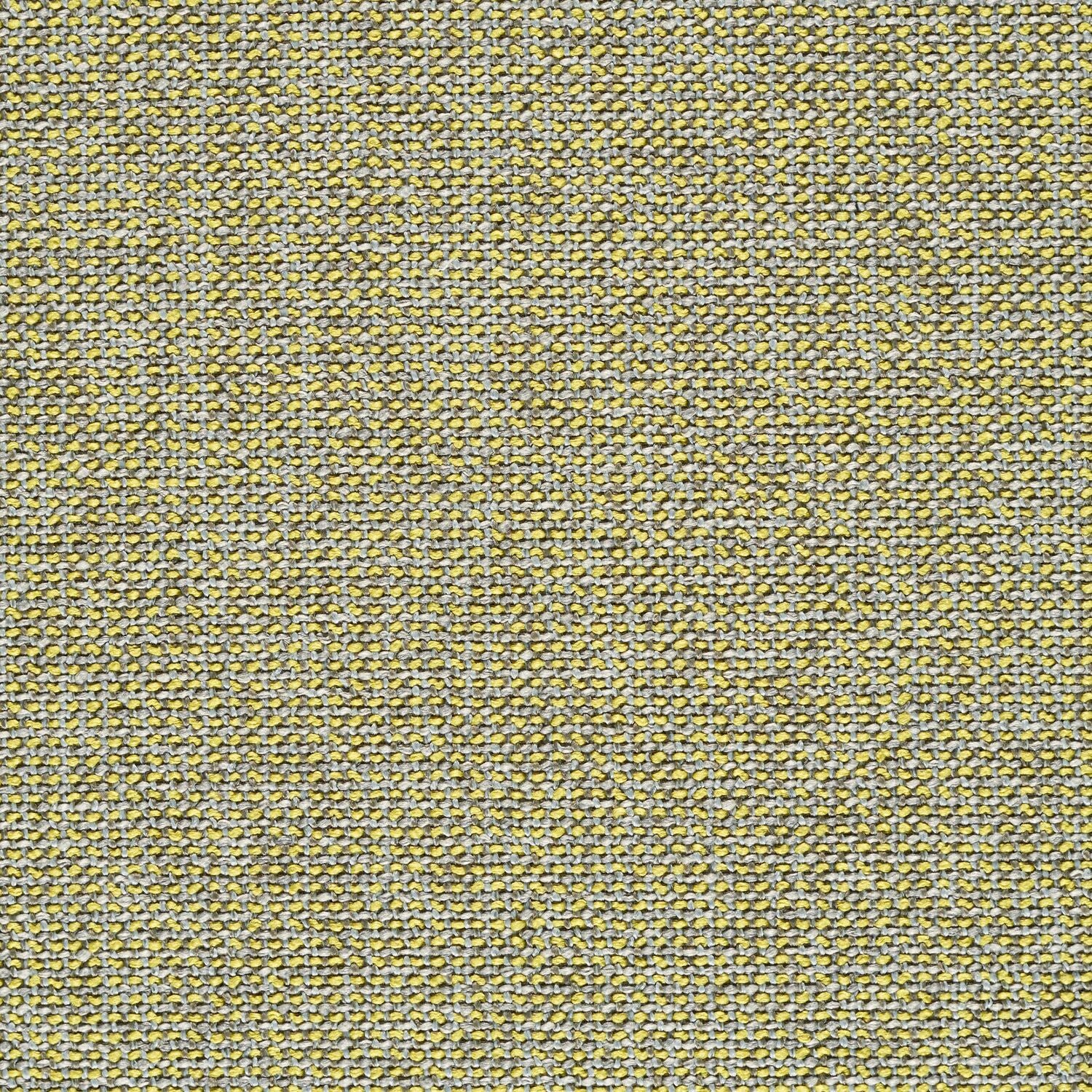 Adage - Halogen - 4069 - 15 - Half Yard