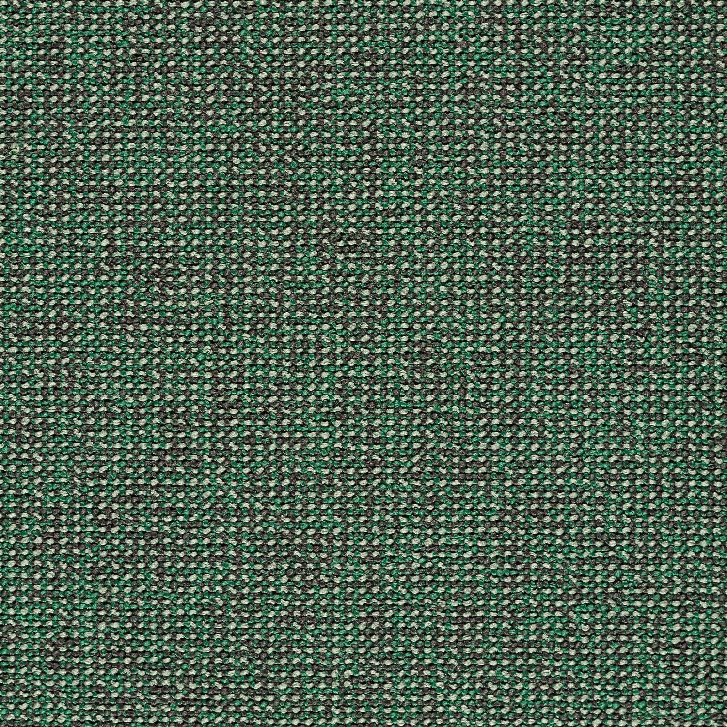Adage - Canopy - 4069 - 16 - Half Yard