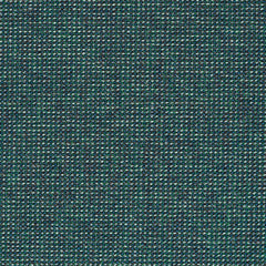 Adage - Raw Jade - 4069 - 17 - Half Yard