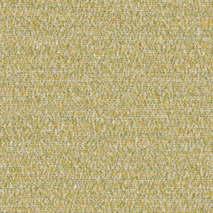 Cognition - Sapient - 4130 - 07