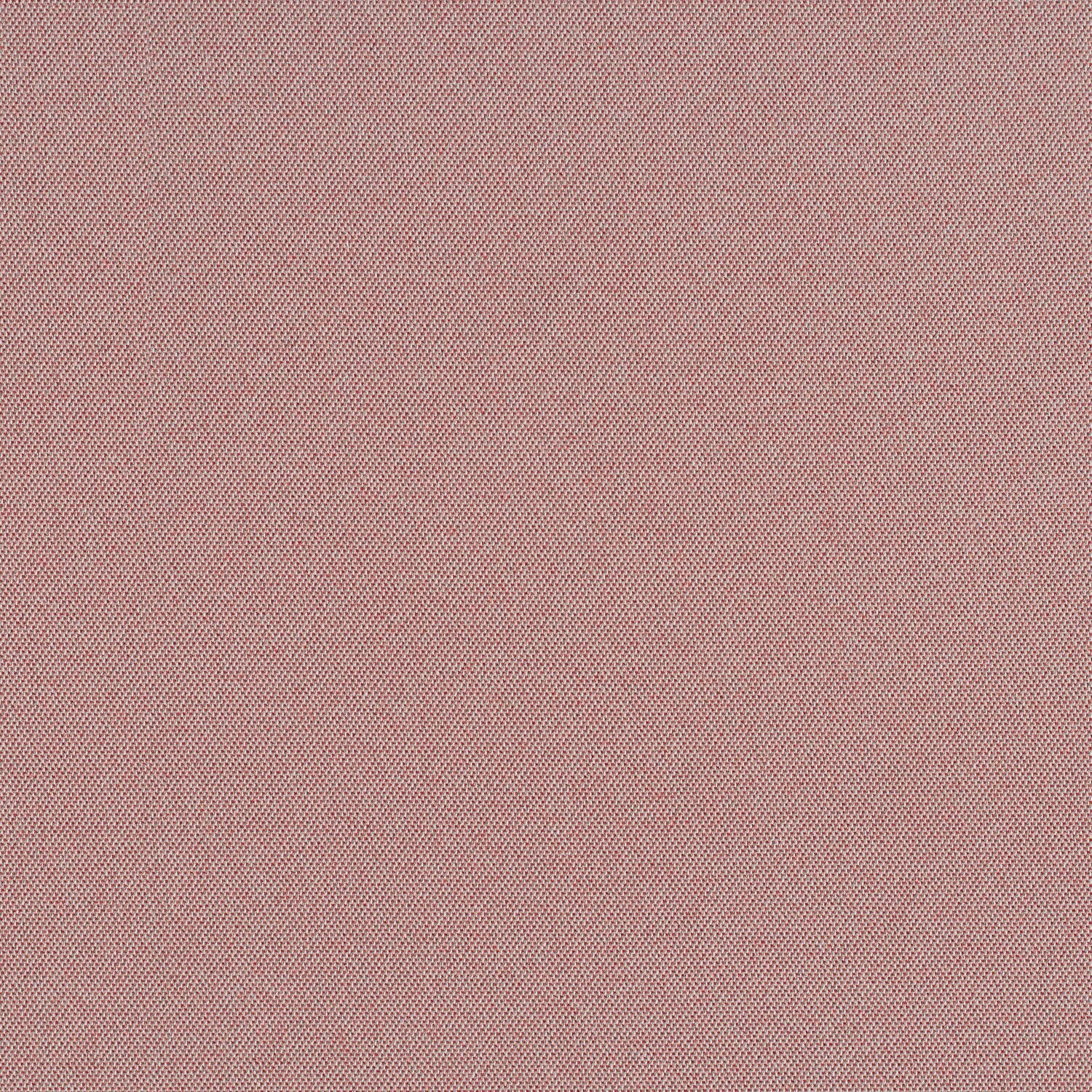 Cult Classic - Pink Flamingos - 1031 - 07 - Half Yard