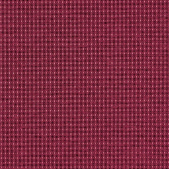 Complement - Garnet - 4042 - 09