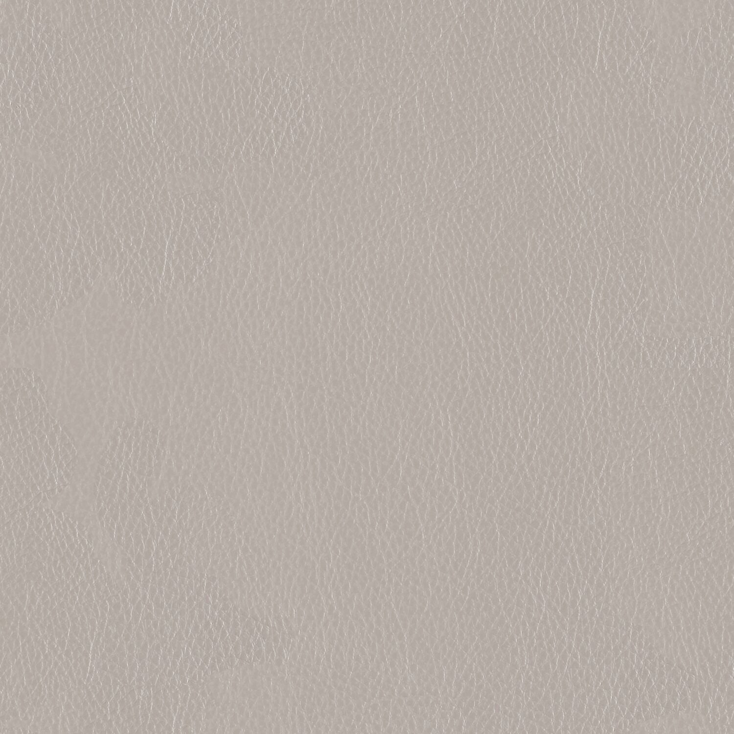 Decoy - Ditto - 4087 - 04 - Half Yard