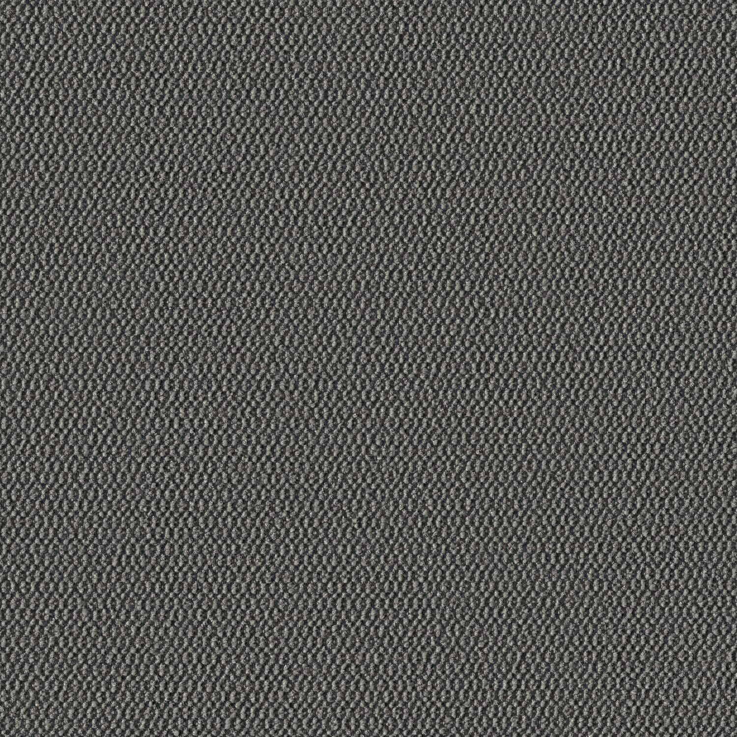 Demi Boucle - Caviar - 2005 - 01 - Half Yard