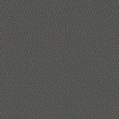 Demi Boucle - Caviar - 2005 - 01
