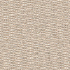 Demi Boucle - Spun Sugar - 2005 - 13