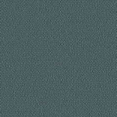 Demi Boucle - Scarab - 2005 - 17