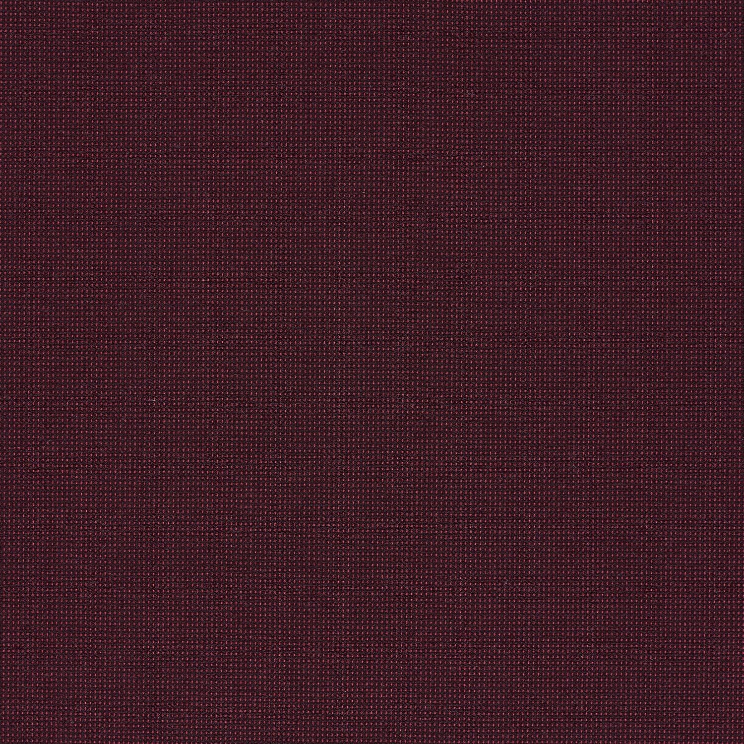 Elastic Wool - Ceylon - 4067 - 09