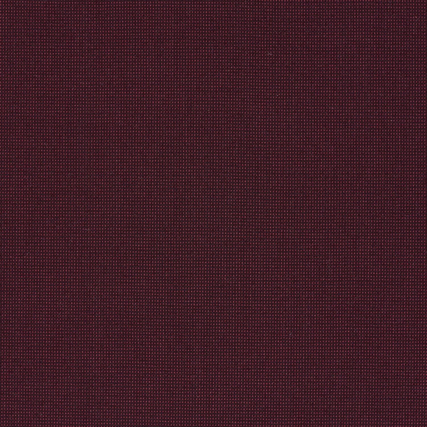 Elastic Wool - Ceylon - 4067 - 09
