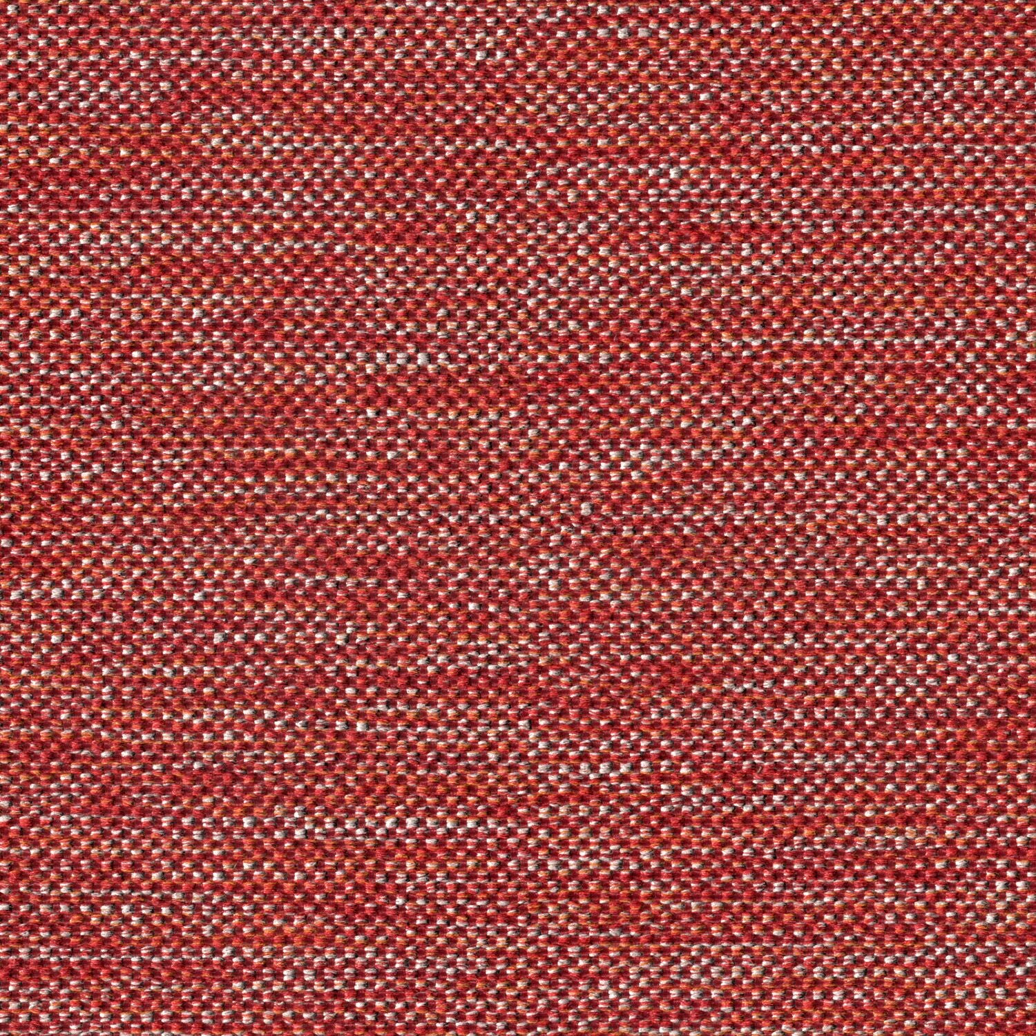 High Frequency - Laser Speckle - 2003 - 06 - Half Yard