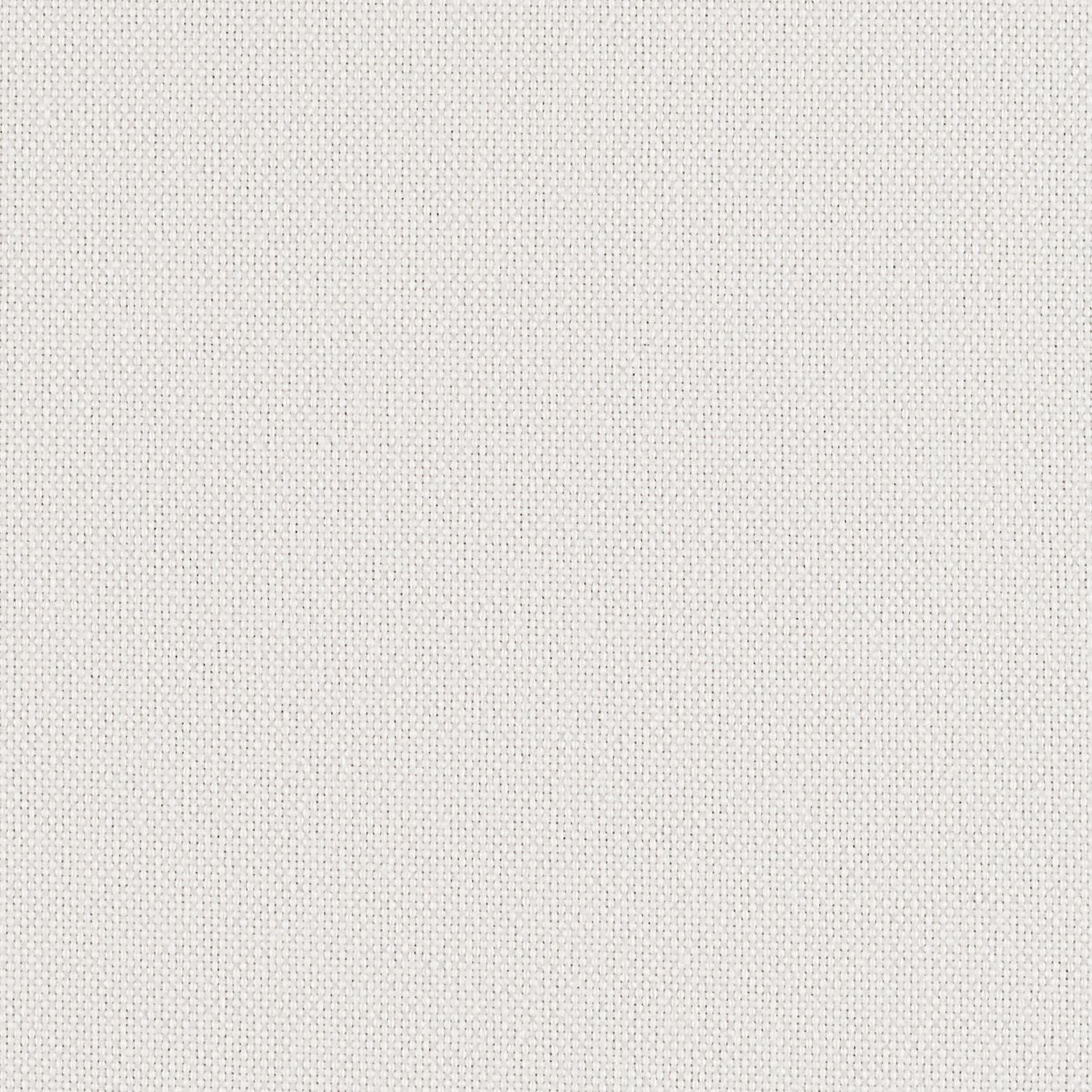 Backdrop - White Out - 1027 - 01 - Half Yard