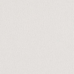 Backdrop - White Out - 1027 - 01 - Half Yard