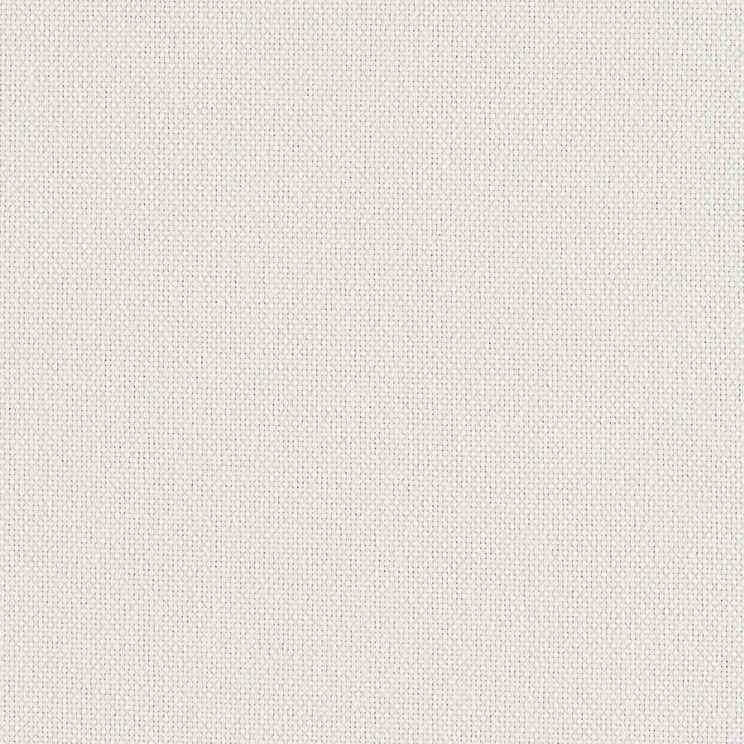 Backdrop - White Out - 1027 - 01 - Half Yard
