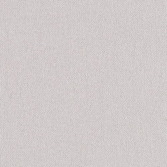 Backdrop - Fog - 1027 - 02 - Half Yard