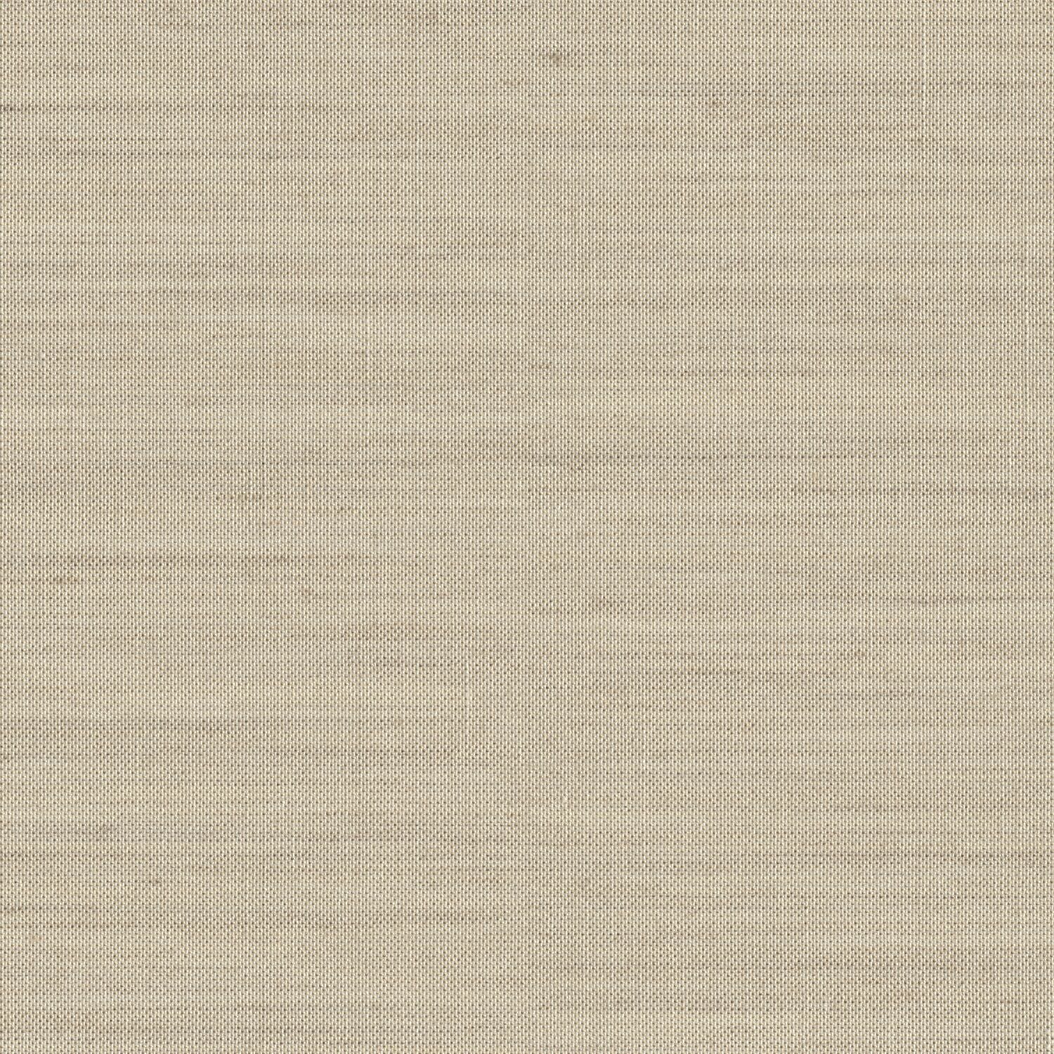 Observation - Ground Level - 6004 - 04