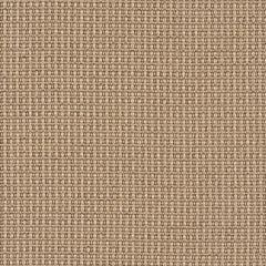 Intone - Lute - 4048 - 08 - Half Yard
