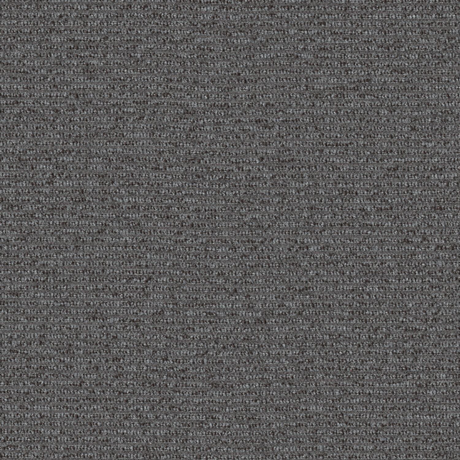 Median - Cinquefoil - 2006 - 02