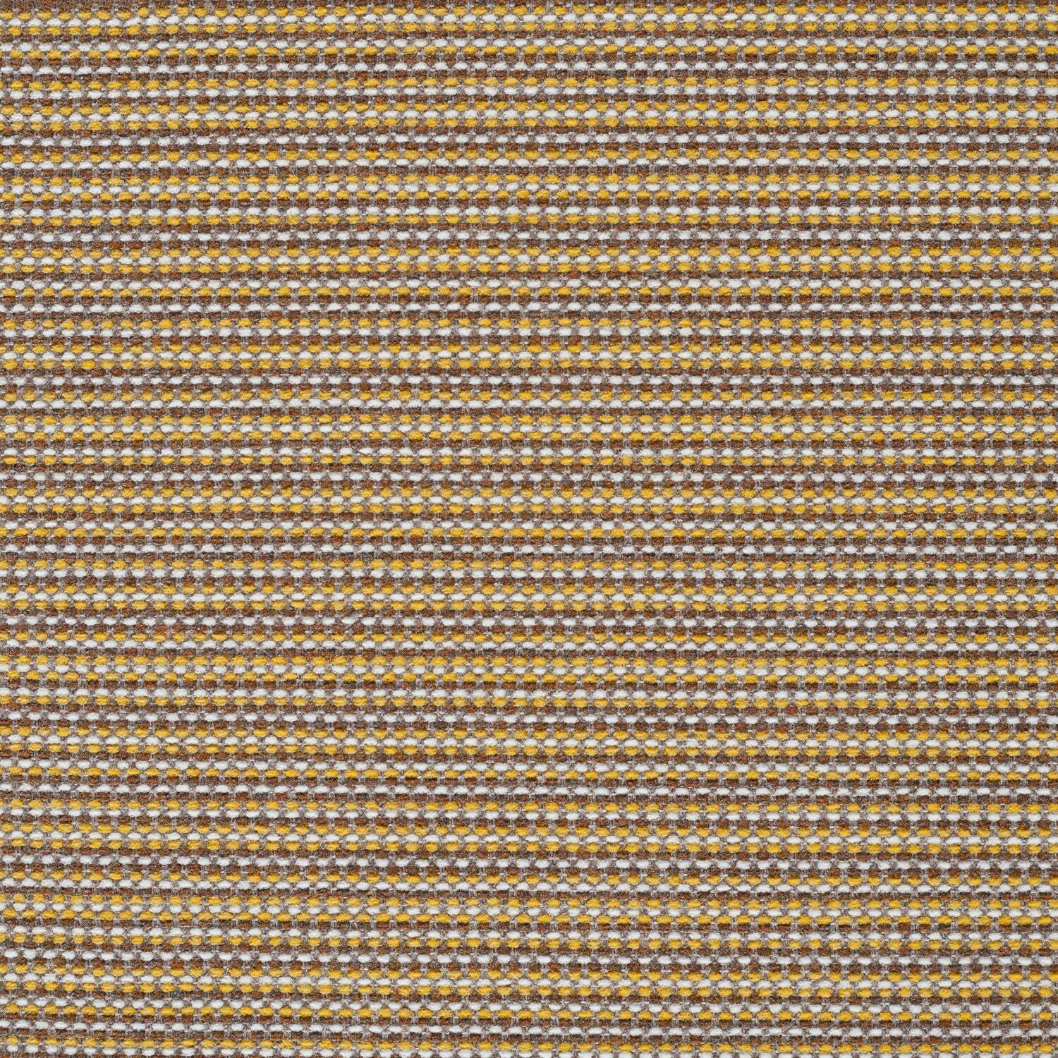 Megapixel - Honeycomb - 4097 - 05