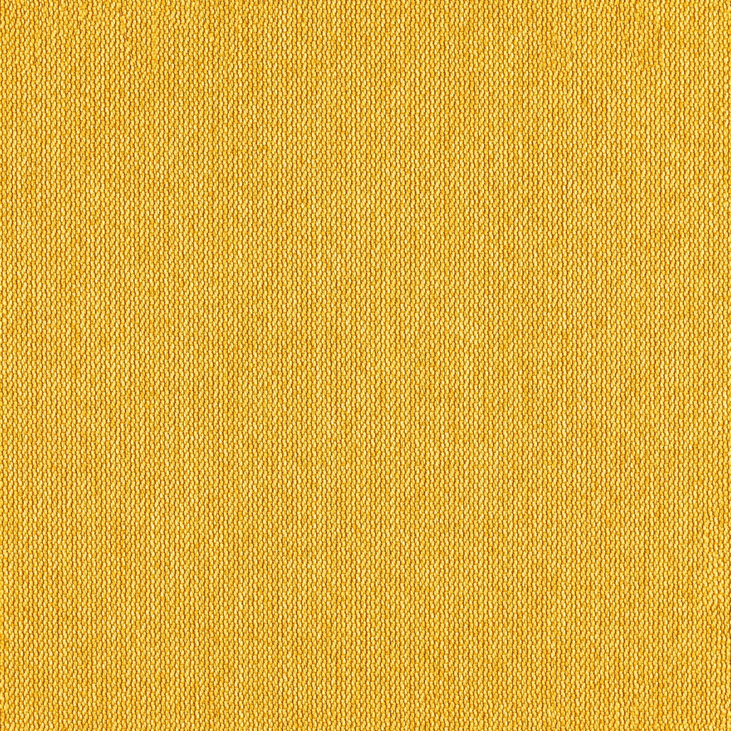 Percept - Radiant - 4040 - 24 - Half Yard