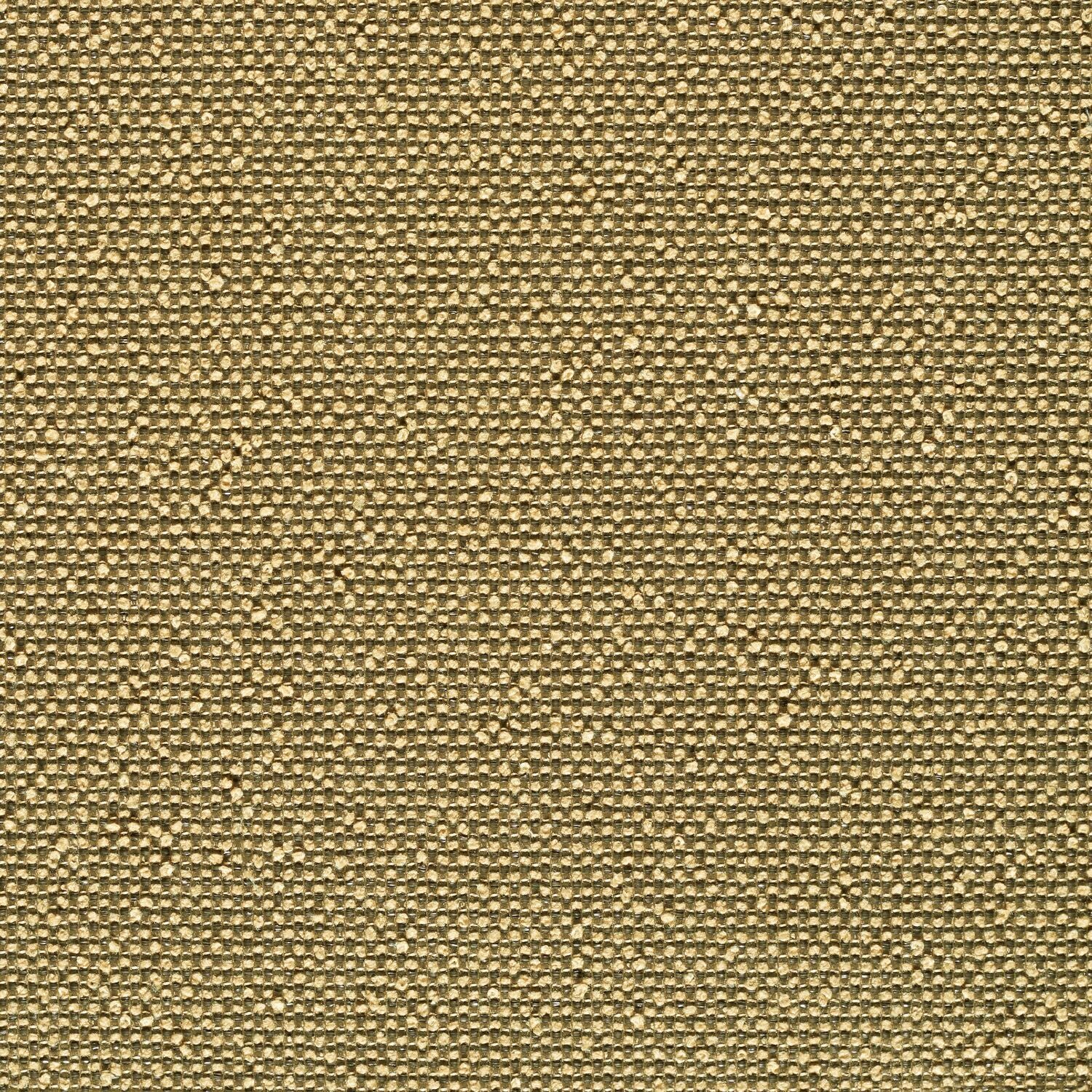 Rhetoric - Kairos - 7017 - 04 - Half Yard
