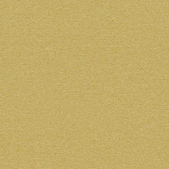 Simplicity - Anjou - 2008 - 09