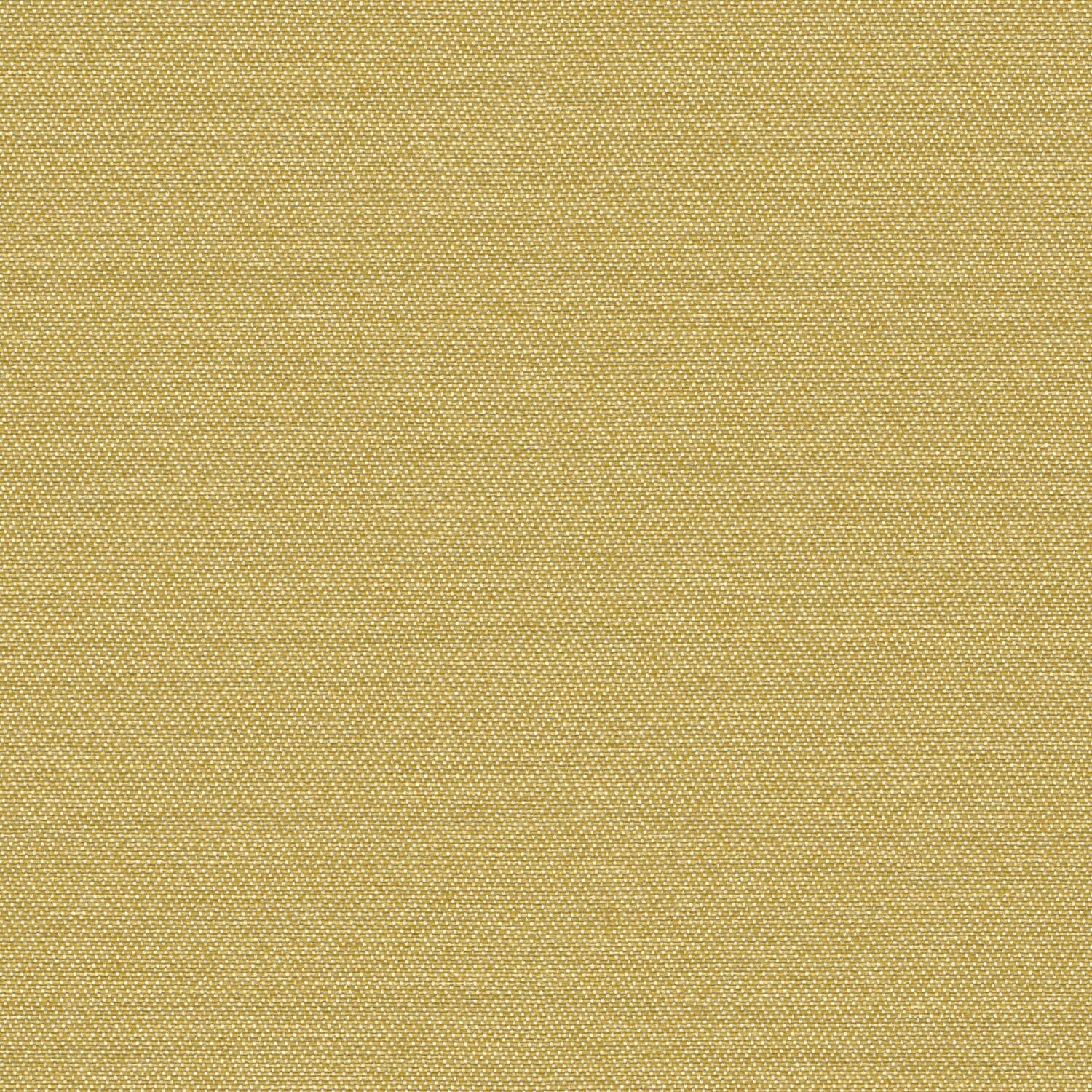 Simplicity - Anjou - 2008 - 09 - Half Yard