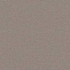 Simplicity - Mushroom - 2008 - 18