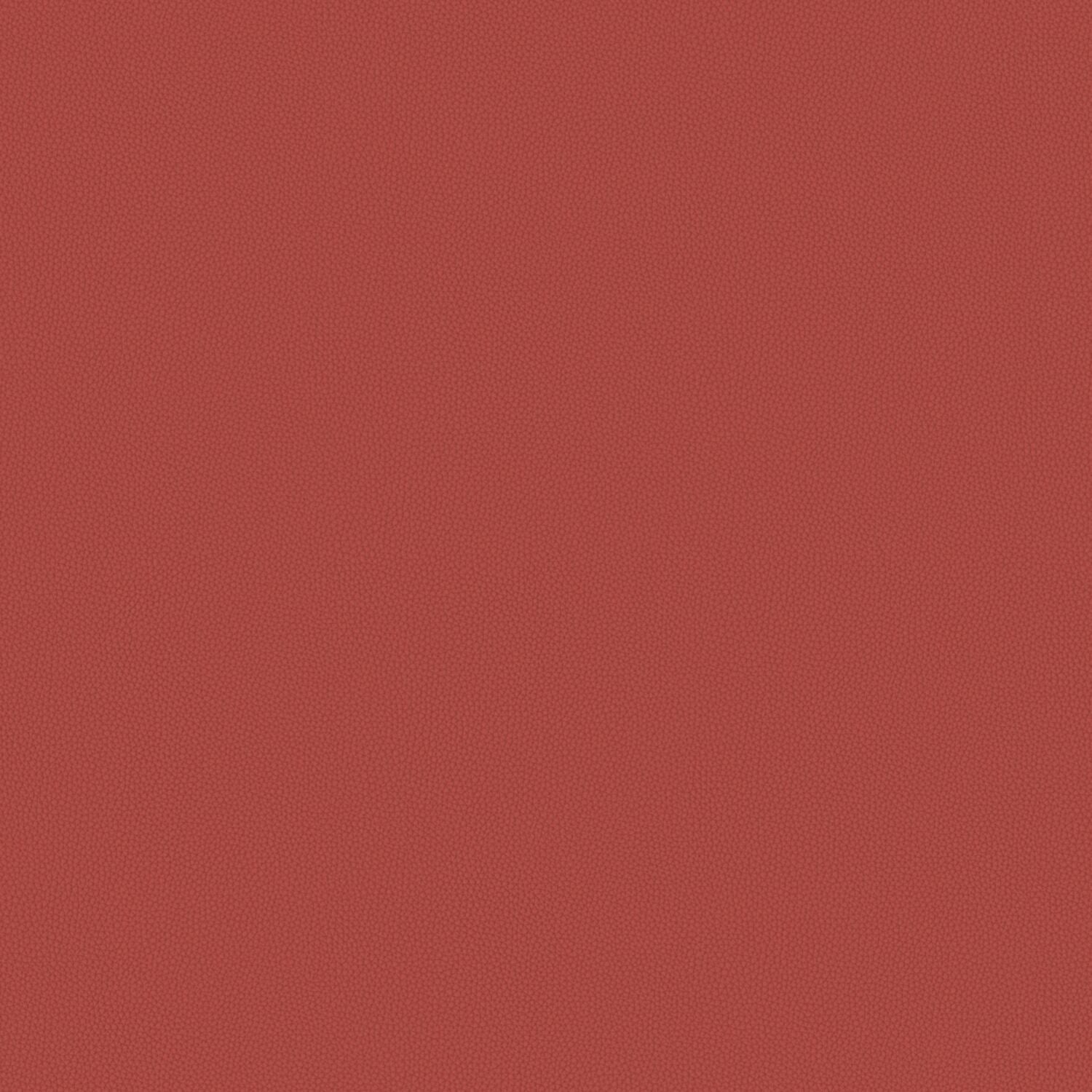 Touch Tone - Pyracantha - 4117 - 10 - Half Yard