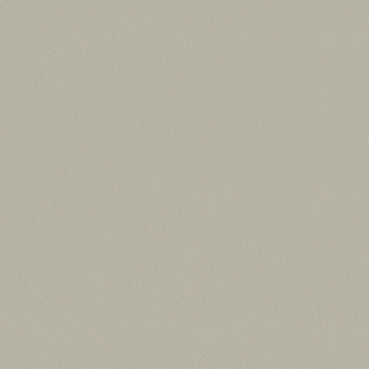 Touch Tone - Chaff - 4117 - 14 - Half Yard