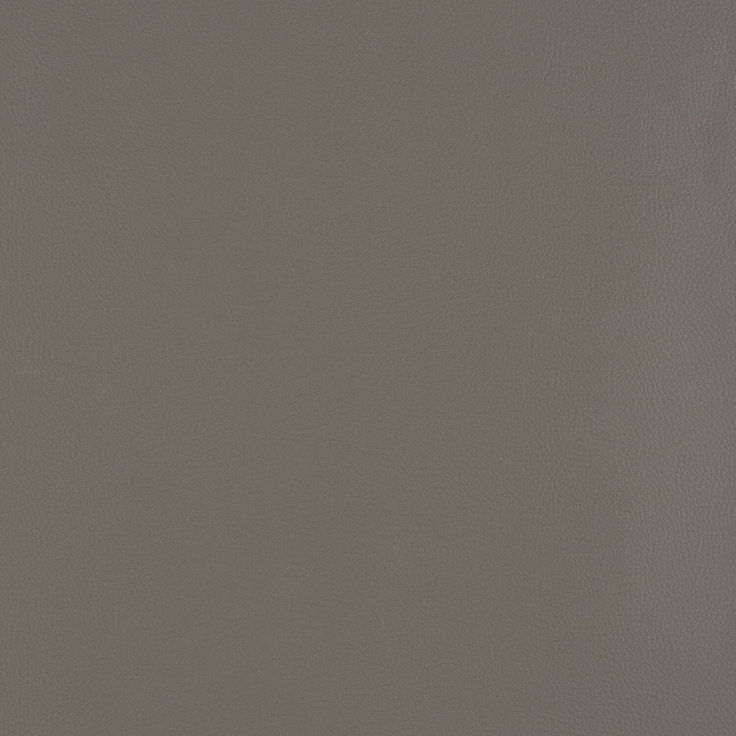 Top Coat - Seal - 4083 - 16 - Half Yard