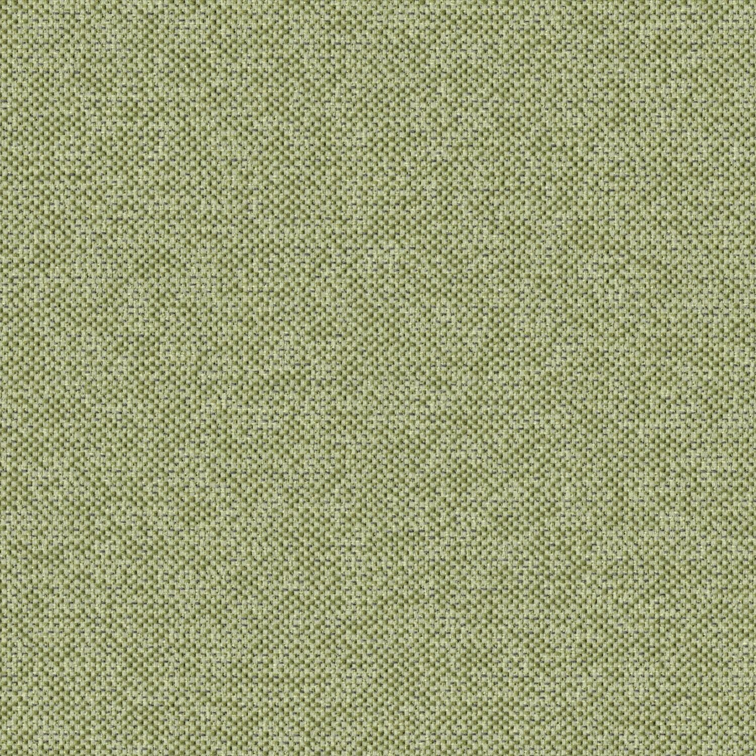 Texture Map - Miocene - 2004 - 11 - Half Yard