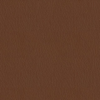 Fortis - Canyon - 4025 - 01 - Half Yard