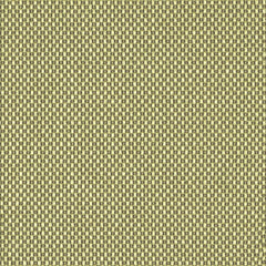 Magnify - Light Beam - 4019 - 08 - Half Yard