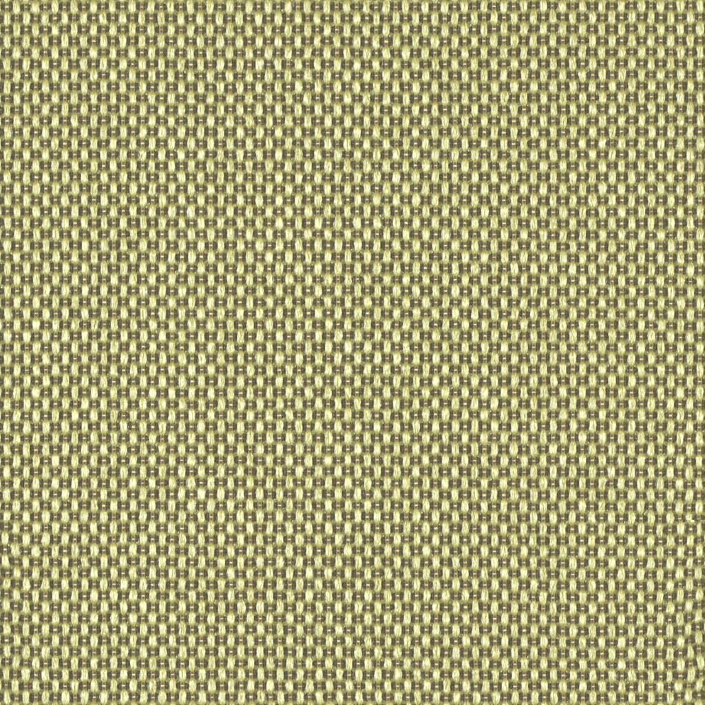 Magnify - Light Beam - 4019 - 08 - Half Yard