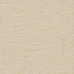 Linen Weave - Linseed - 1018 - 05