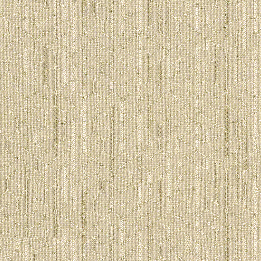 Topology - Natural - 1011 - 03 - Half Yard