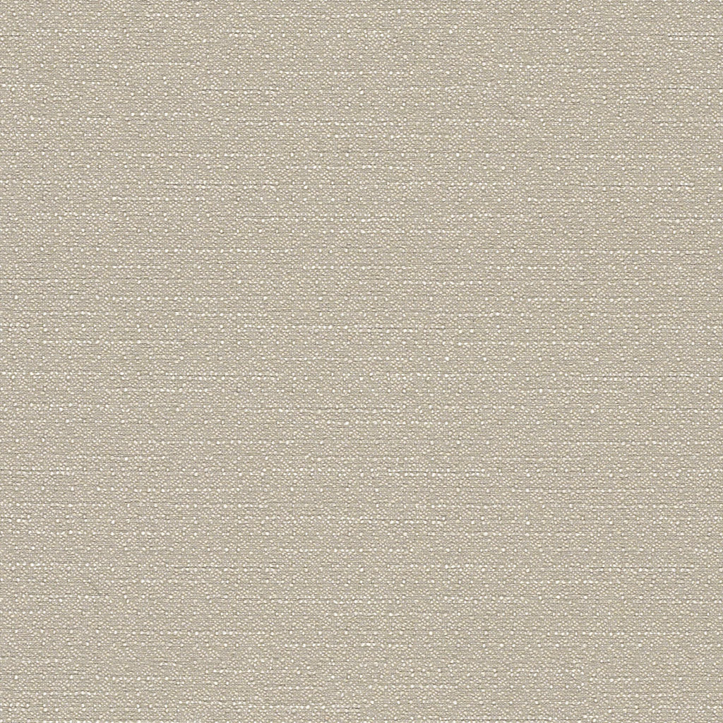Warp Speed - Reed Arrow - 1007 - 04 - Half Yard