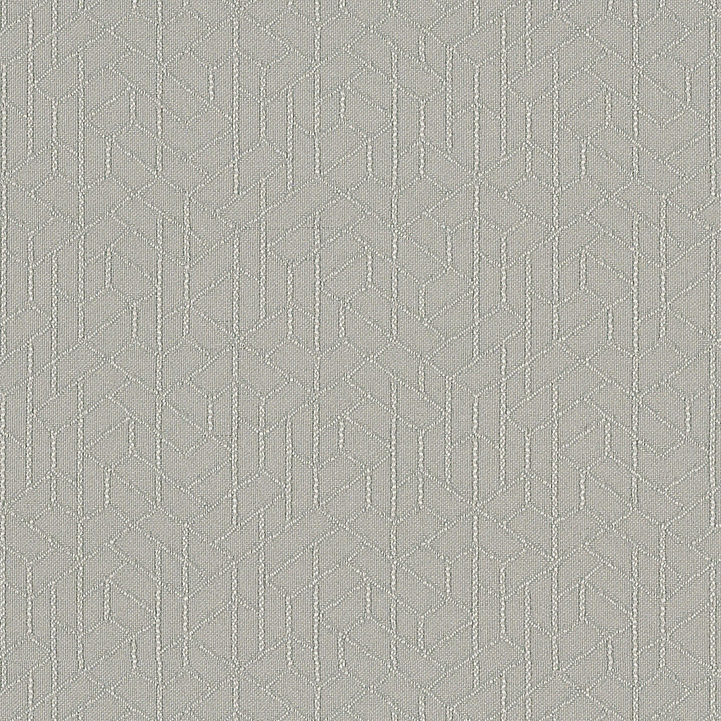 Topology - Shadow - 1011 - 05 - Half Yard
