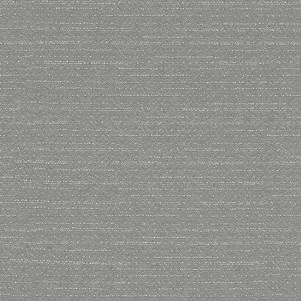 Warp Speed - Steel Racer - 1007 - 06 - Half Yard