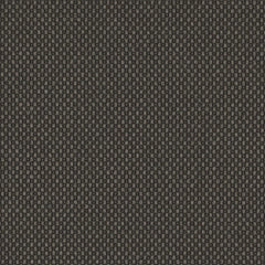 Magnify - Zoom Lens - 4019 - 04 - Half Yard