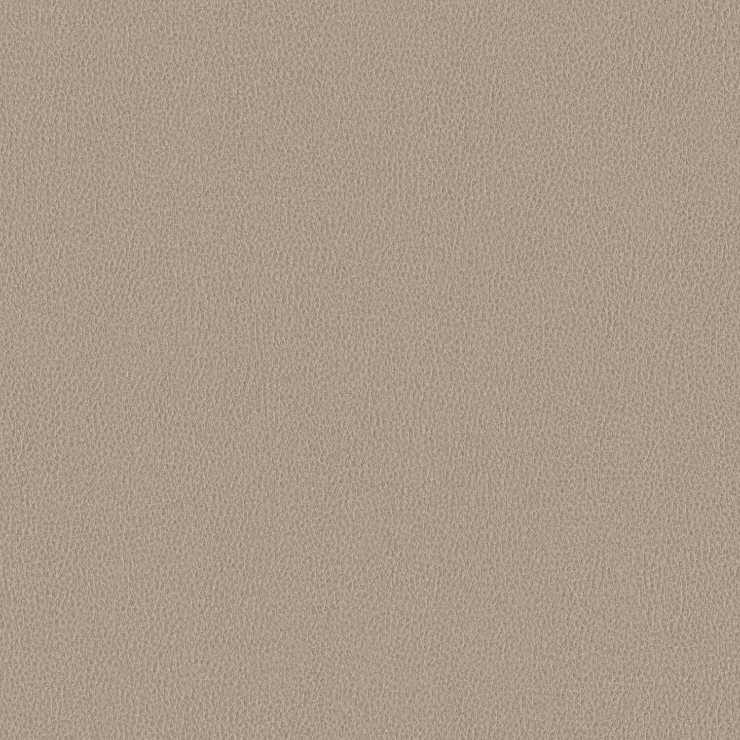 Nomad - Coast - 4149 - 02